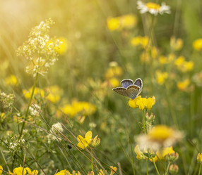 Similar image 21245055