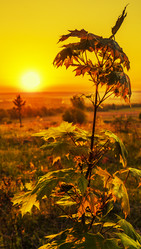 Similar image 21245056