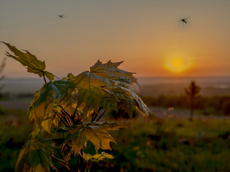 Similar image 21245057