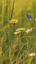 Similar image 21245058