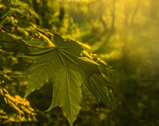 Similar image 21245059