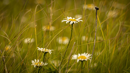 Similar image 21245060