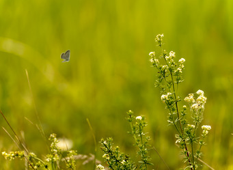 Similar image 21245063