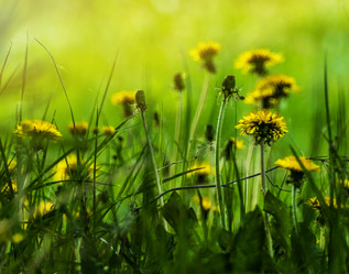 Similar image 21247803