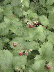 Similar image 21247804