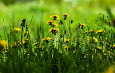 Similar image 21247805