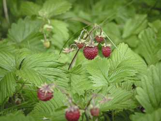 Similar image 21247806