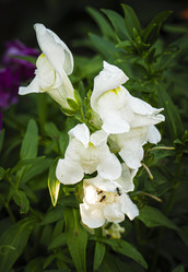 Similar image 21247807