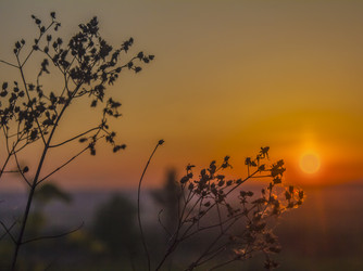 Similar image 21247808