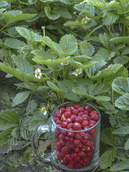 Similar image 21247809