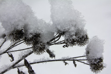 Similar image 21247810