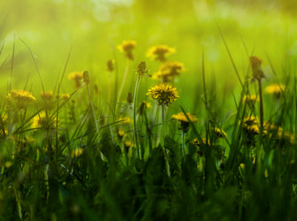 Similar image 21247812