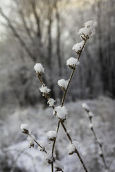 Similar image 21247886