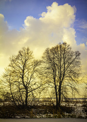 Similar image 21247888