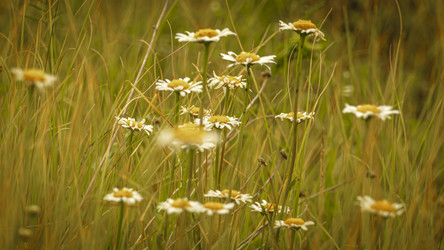 Similar image 21247889