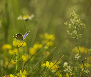 Similar image 21247893