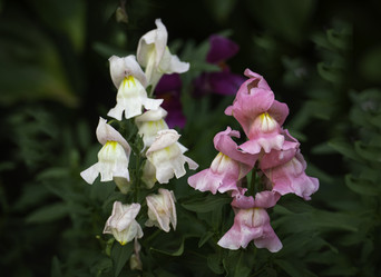 Similar image 21247903