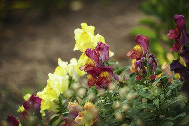 Similar image 21247905