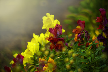 Similar image 21206633