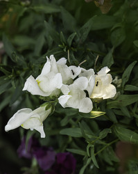 Similar image 21247911