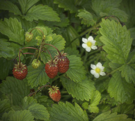 Similar image 21247913