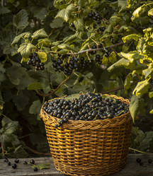 Similar image 21247914