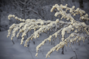 Similar image 21247916