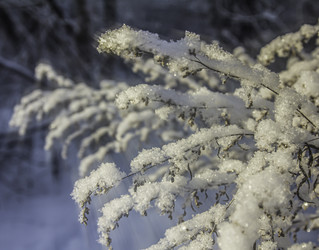 Similar image 21247918