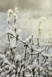 Similar image 21247920