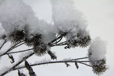 Similar image 21247922