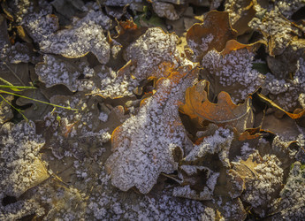 Similar image 21247923