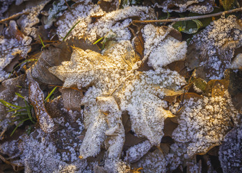 Similar image 21247924