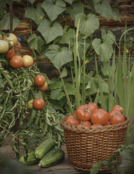 Similar image 21247926