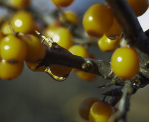 Similar image 21247930