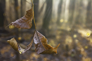 Similar image 21247933