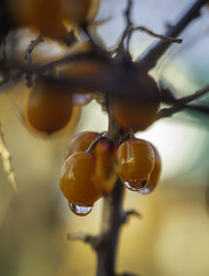 Similar image 21247936