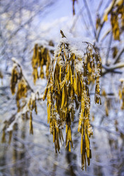 Similar image 21247937