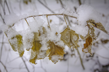 Similar image 21247938