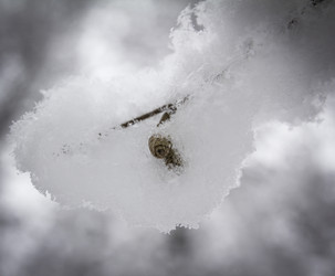 Similar image 21247940