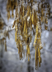 Similar image 21247942