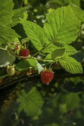 Similar image 21247943