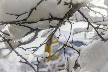 Similar image 21247946