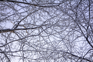 Similar image 21247947