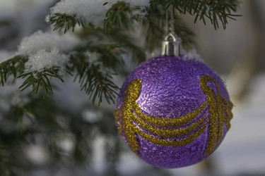 Similar image 21247948