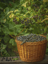 Similar image 21247949