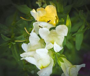 Similar image 21247951