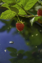 Similar image 21247953