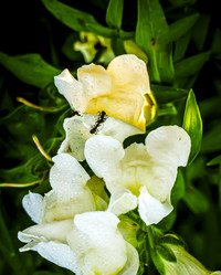 Similar image 21247954