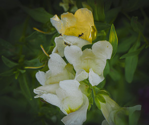 Similar image 21221338