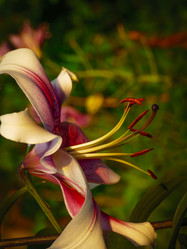 Similar image 21221340